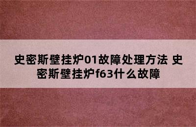 史密斯壁挂炉01故障处理方法 史密斯壁挂炉f63什么故障